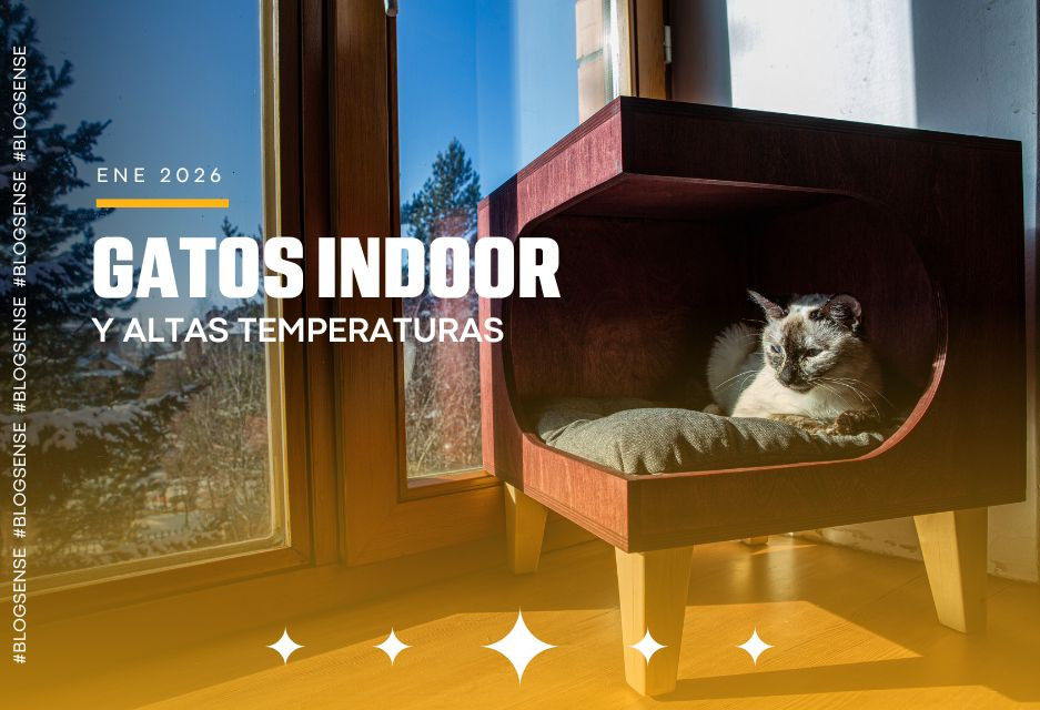 Gatos indoor y altas temperaturas